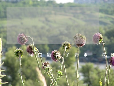网贷逾期了要求一次性还清 网贷逾期了要求一次性还清