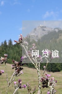 网贷逾期了警察会上门吗 网贷逾期了警察会上门吗