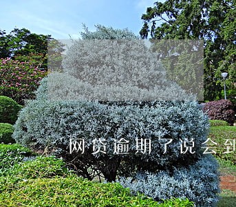网贷逾期了说会到户籍地调查 网贷逾期了说会到户籍地调查