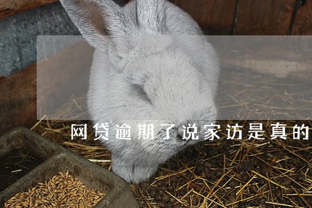 网贷逾期了说家访是真的吗 网贷逾期了说家访是真的吗