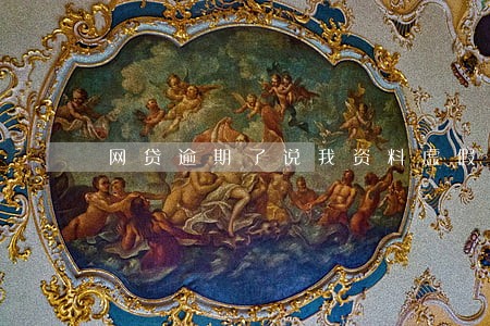 网贷逾期了说我资料虚假 网贷逾期了说我资料虚假