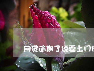 网贷逾期了说要上门催债 网贷逾期了说要上门催债