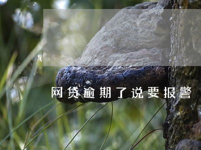 网贷逾期了说要报警