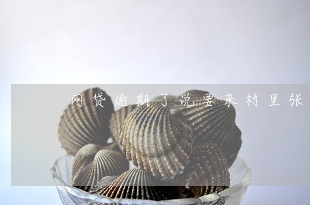 网贷逾期了说要来村里张贴海报 网贷逾期了说要来村里张贴海报