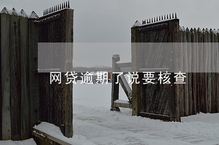 网贷逾期了说要核查 网贷逾期了说要核查