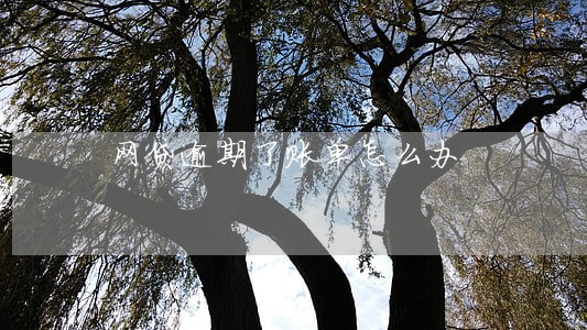 网贷逾期了账单怎么办 网贷逾期了账单怎么办