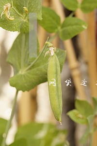 网贷逾期了贷不了款了 网贷逾期了贷不了款了