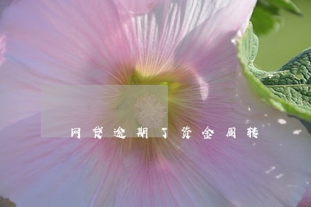 网贷逾期了资金周转 网贷逾期了资金周转