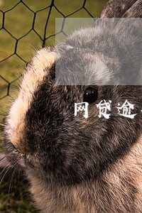 网贷逾期了跟催收协商靠谱吗 网贷逾期了跟催收协商靠谱吗