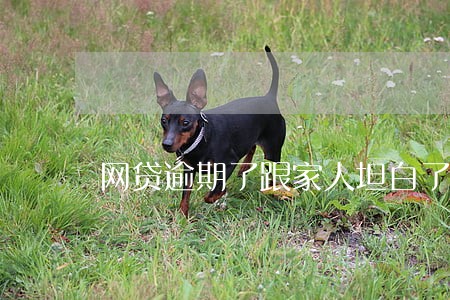 网贷逾期了跟家人坦白了 网贷逾期了跟家人坦白了