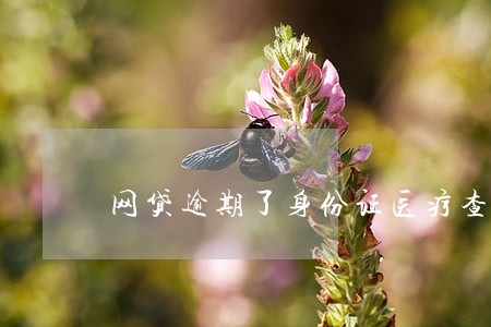 网贷逾期了身份证医疗查不到 网贷逾期了身份证医疗查不到