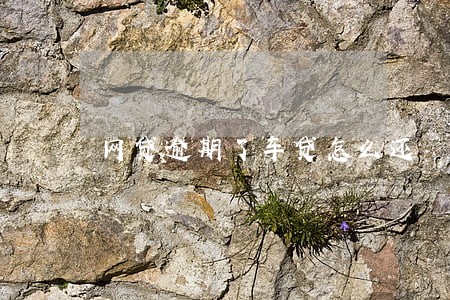 网贷逾期了车贷怎么还 网贷逾期了车贷怎么还