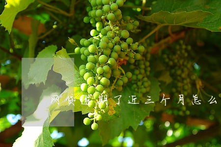 网贷逾期了近三个月怎么办 网贷逾期了近三个月怎么办
