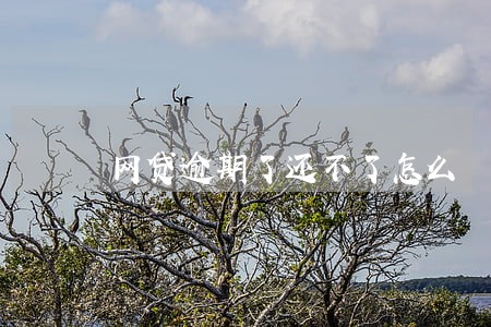 网贷逾期了还不了怎么 网贷逾期了还不了怎么