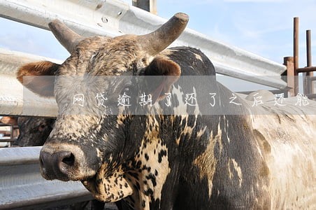 网贷逾期了还了之后还能办车贷吗 网贷逾期了还了之后还能办车贷吗