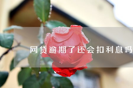 网贷逾期了还会扣利息吗 网贷逾期了还会扣利息吗