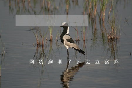 网贷逾期了还会立案吗