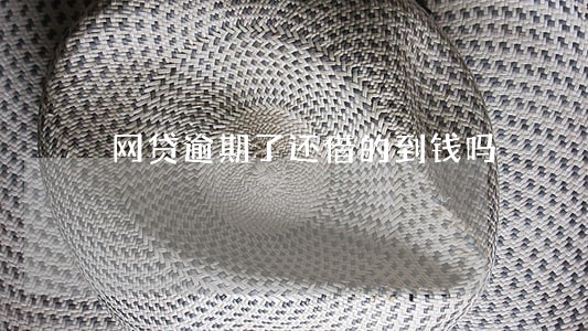 网贷逾期了还借的到钱吗 网贷逾期了还借的到钱吗