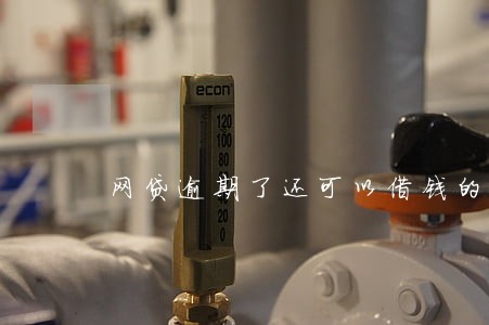 网贷逾期了还可以借钱的网贷
