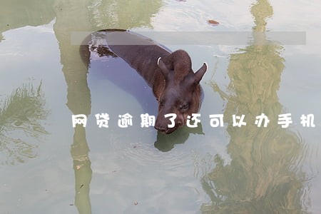 网贷逾期了还可以办手机分期嘛 网贷逾期了还可以办手机分期嘛