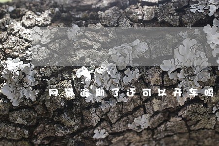 网贷逾期了还可以开车吗 网贷逾期了还可以开车吗