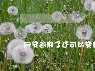 网贷逾期了还可以贷款 网贷逾期了还可以贷款