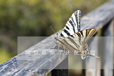 网贷逾期了还在炒股 网贷逾期了还在炒股