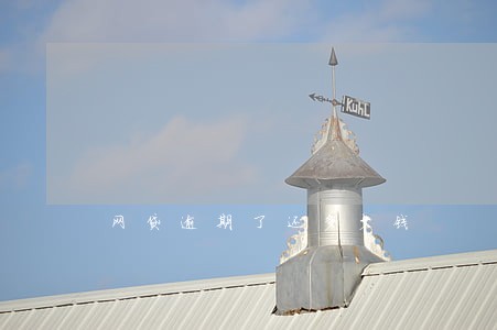 网贷逾期了还多少钱 网贷逾期了还多少钱