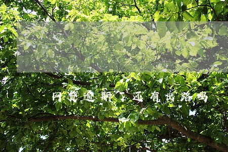 网贷逾期了还有出路吗