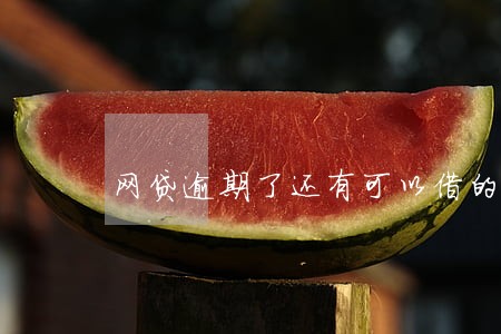 网贷逾期了还有可以借的嘛