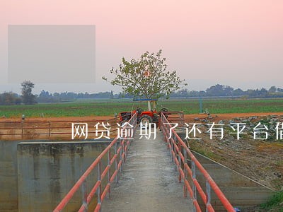 网贷逾期了还有平台借吗 网贷逾期了还有平台借吗