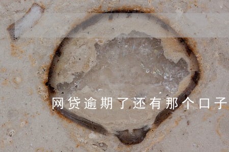 网贷逾期了还有那个口子能借
