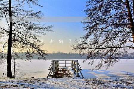 网贷逾期了还款后有记录吗 网贷逾期了还款后有记录吗