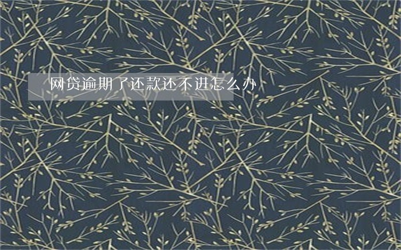 网贷逾期了还款还不进怎么办 网贷逾期了还款还不进怎么办