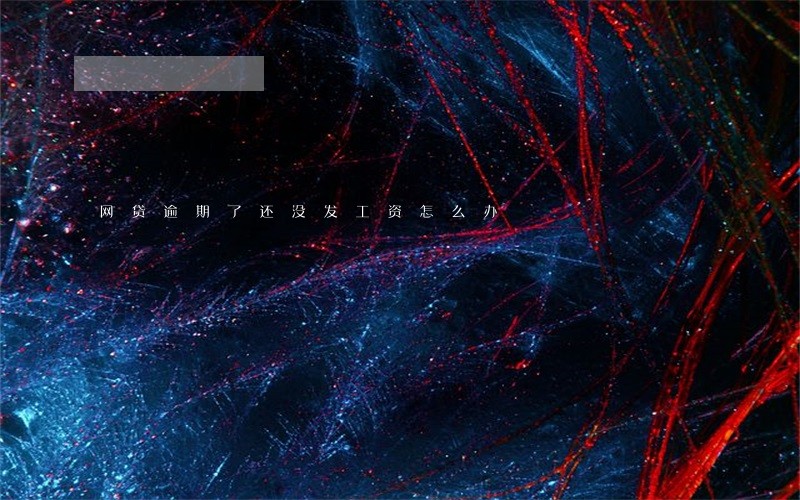 网贷逾期了还没发工资怎么办 网贷逾期了还没发工资怎么办