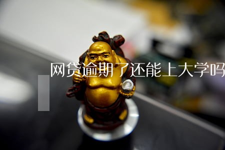 网贷逾期了还能上大学吗 网贷逾期了还能上大学吗