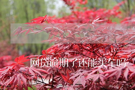 网贷逾期了还能买车吗 网贷逾期了还能买车吗