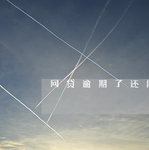 网贷逾期了还能借出来钱吗 网贷逾期了还能借出来钱吗