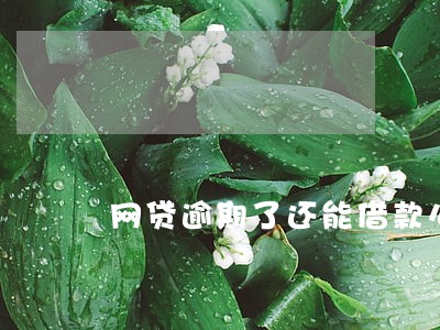 网贷逾期了还能借款么 网贷逾期了还能借款么