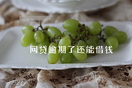 网贷逾期了还能借钱 网贷逾期了还能借钱