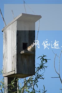 网贷逾期了还能做网贷吗
