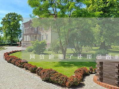 网贷逾期了还能出路吗 网贷逾期了还能出路吗
