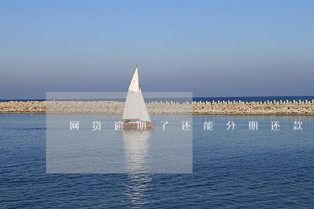 网贷逾期了还能分期还款嘛 网贷逾期了还能分期还款嘛