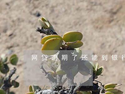 网贷逾期了还能到银行贷款吗 网贷逾期了还能到银行贷款吗