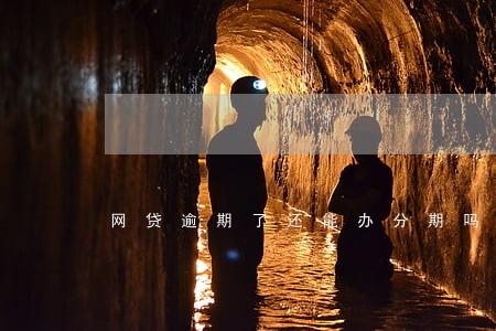 网贷逾期了还能办分期吗 网贷逾期了还能办分期吗