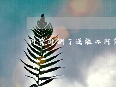 网贷逾期了还能办网贷 网贷逾期了还能办网贷