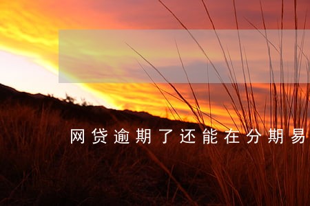 网贷逾期了还能在分期易上借款吗 网贷逾期了还能在分期易上借款吗