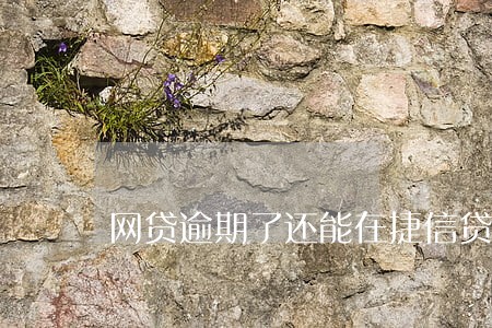 网贷逾期了还能在捷信贷款吗 网贷逾期了还能在捷信贷款吗