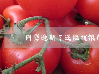 网贷逾期了还能找银行贷款吗