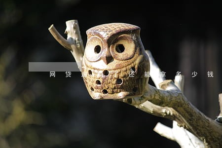 网贷逾期了还能拿多少钱 网贷逾期了还能拿多少钱